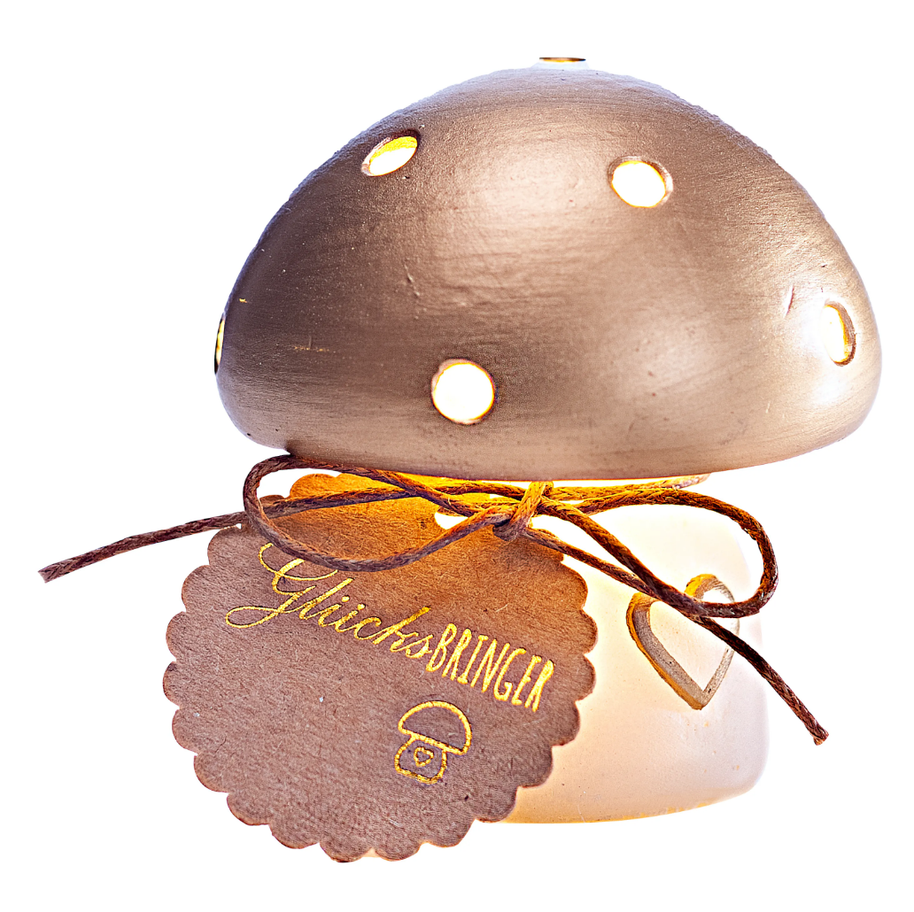 Geschenkset LED-Pilz "Glücksbringer