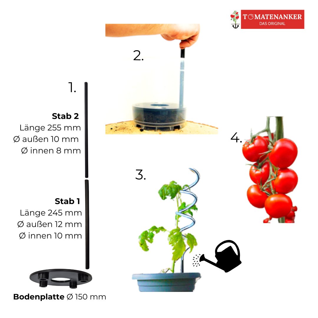 TOMATENANKER, DAS ORIGINAL! 2ER-SET