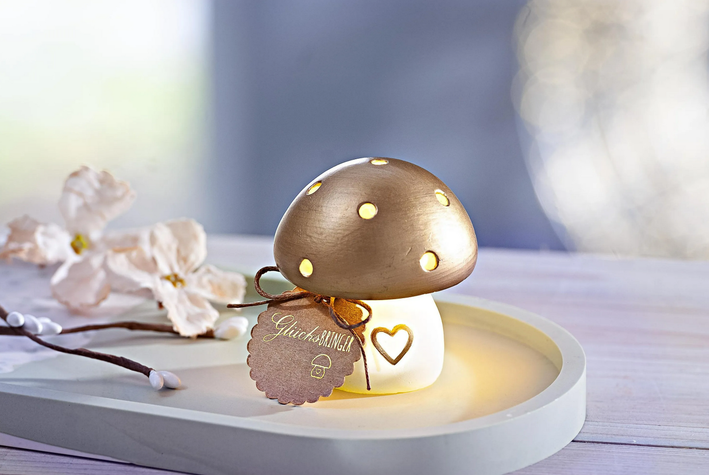 Geschenkset LED-Pilz "Glücksbringer