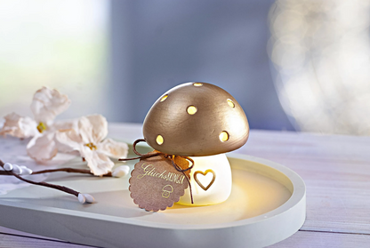 Geschenkset LED-Pilz "Glücksbringer