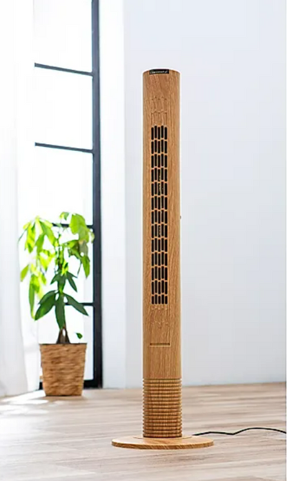 Ventilator Holz