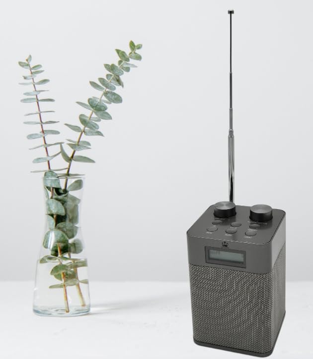 NEWTRO Tragbares DAB-Radio Vertikal - 2.200mAh Akku-Power für DAB/FM/BT- & USB-Wiedergabe inkl. Ladekabel und ausziehbarer Teleskopantenne