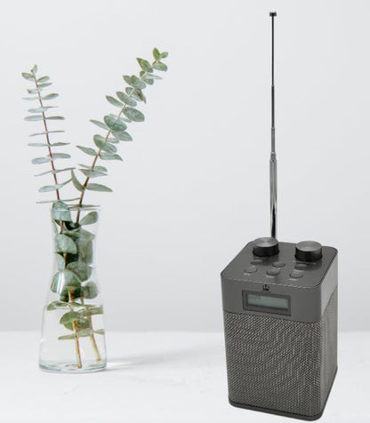 NEWTRO Tragbares DAB-Radio Vertikal - 2.200mAh Akku-Power für DAB/FM/BT- & USB-Wiedergabe inkl. Ladekabel und ausziehbarer Teleskopantenne