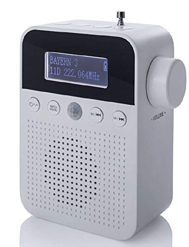 Newtro DAB + Steckdosenradio