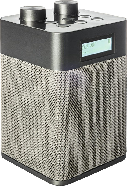 NEWTRO Tragbares DAB-Radio Vertikal - 2.200mAh Akku-Power für DAB/FM/BT- & USB-Wiedergabe inkl. Ladekabel und ausziehbarer Teleskopantenne