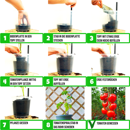 TOMATENANKER, DAS ORIGINAL! 2ER-SET