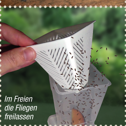 Fruchtfliegen-Lebendfalle
