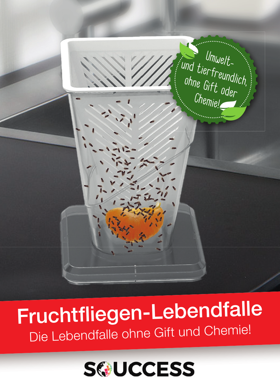 Fruchtfliegen-Lebendfalle