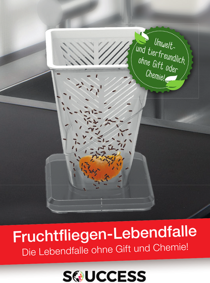 Fruchtfliegen-Lebendfalle