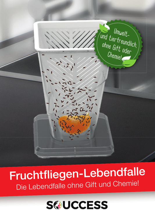 Fruchtfliegen-Lebendfalle