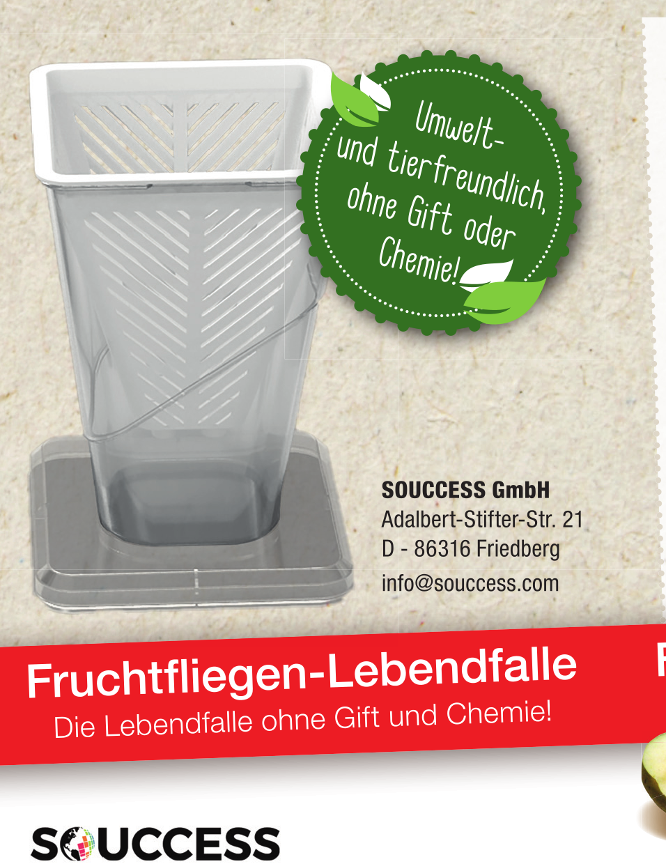 Fruchtfliegen-Lebendfalle