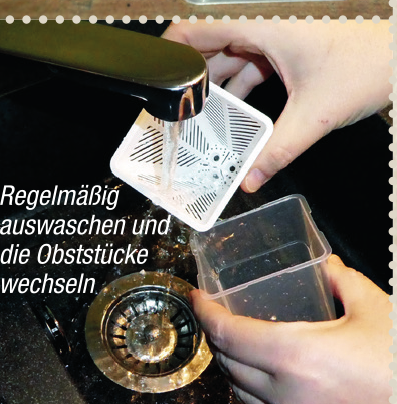 Fruchtfliegen-Lebendfalle