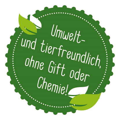 Fruchtfliegen-Lebendfalle